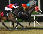 Sichuan Ruler fights back on the rails to regain a narrow advantage on Cavallo<br>Photo by Singapore Turf Club